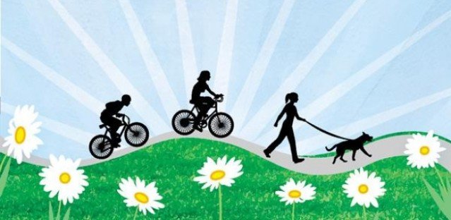 Summer Behavior Post